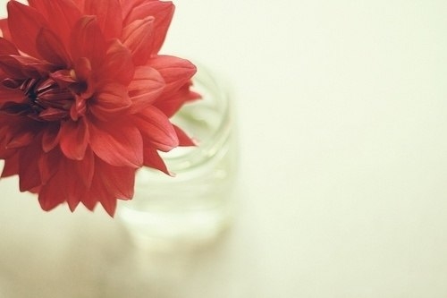 小清新唯美可爱美图