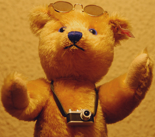 可爱的泰迪熊玩具