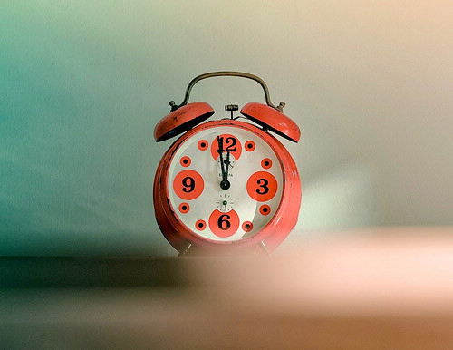 可爱唯美意境小静物图片