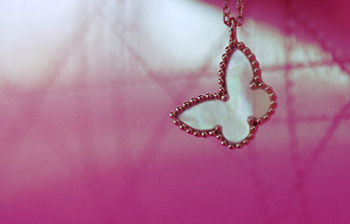 可爱唯美意境小静物图片