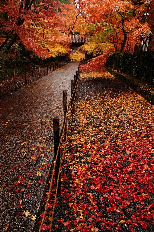 美丽的秋天风景图片