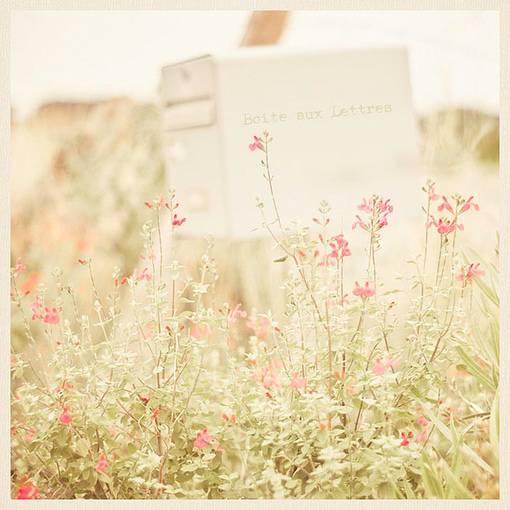 美好幸福的春天图片