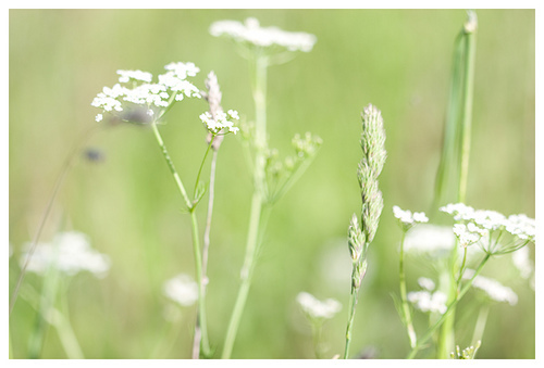 美好幸福的春天图片
