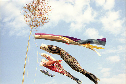 清新一夏唯美图片