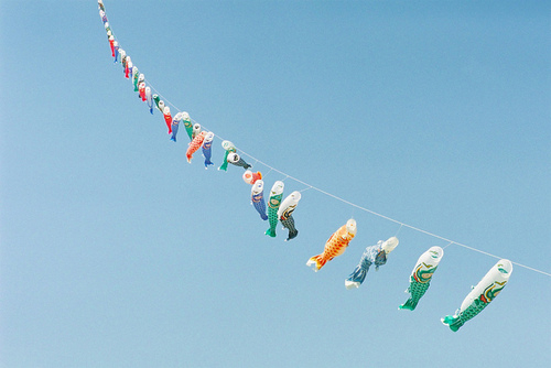 清新一夏唯美图片