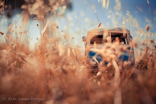 开着车去旅行可爱美图