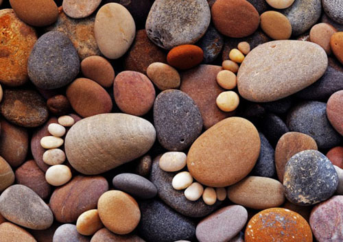 有爱的风景可爱美图图片 www.bugela.com 