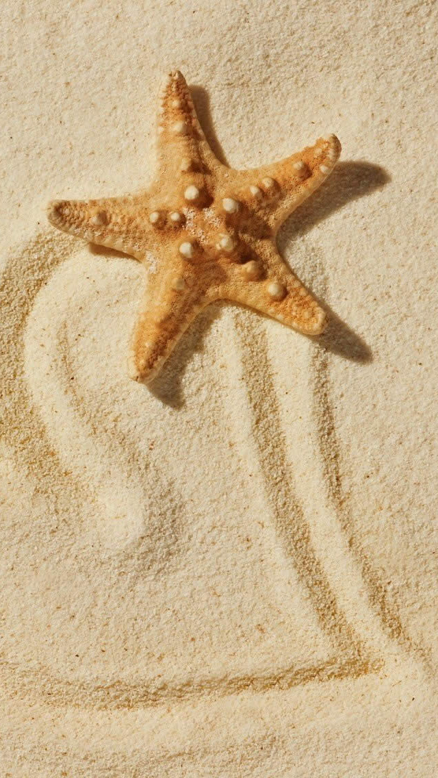 沙滩海星手机图片