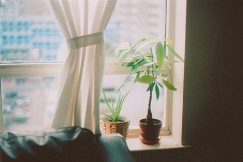 唯美文艺安静可爱美图