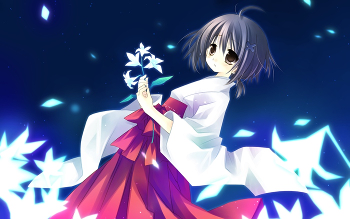 日本梦幻动漫美美女