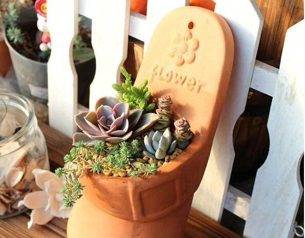 可爱好玩的多肉植物美图