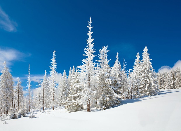 唯美冬天美丽的雪景图片