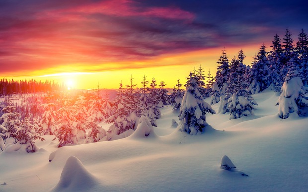 晨光夕阳下的冬日雪景图片