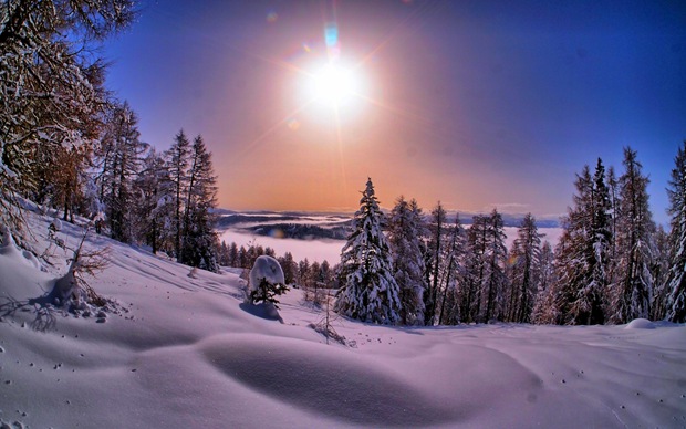 晨光夕阳下的冬日雪景图片