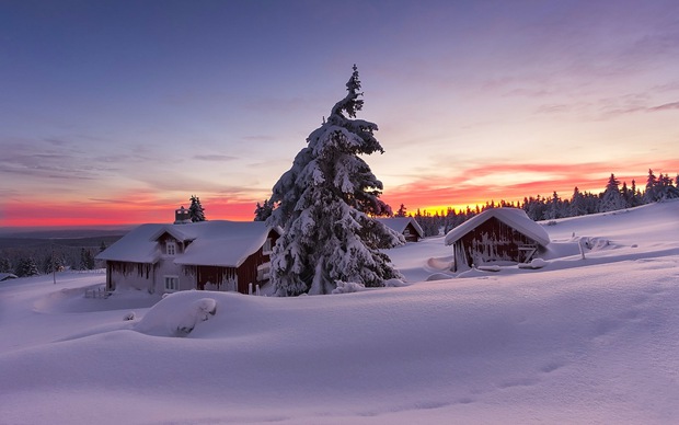 晨光夕阳下的冬日雪景图片