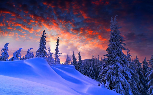 美丽冬天夕阳下的雪景图片