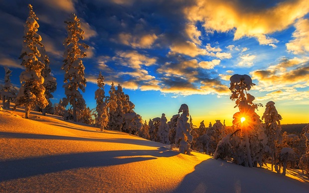 美丽冬天夕阳下的雪景图片