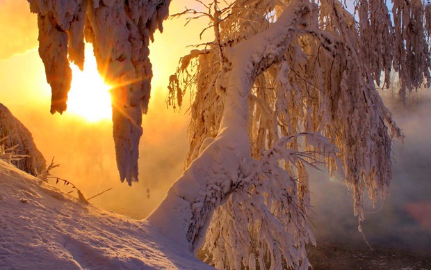 美丽冬天夕阳下的雪景图片
