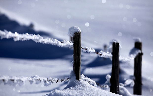 美丽冬天夕阳下的雪景图片