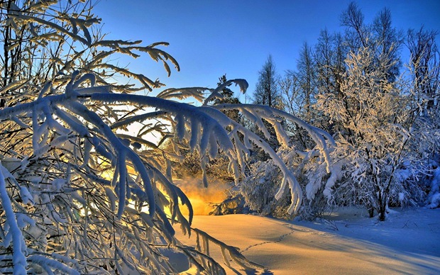美丽冬天夕阳下的雪景图片