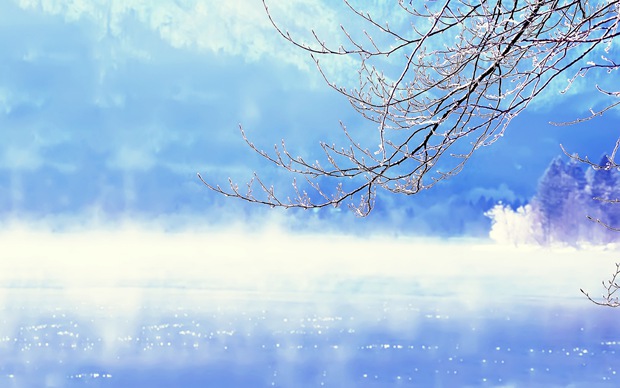 冬天唯美雪景意境图片