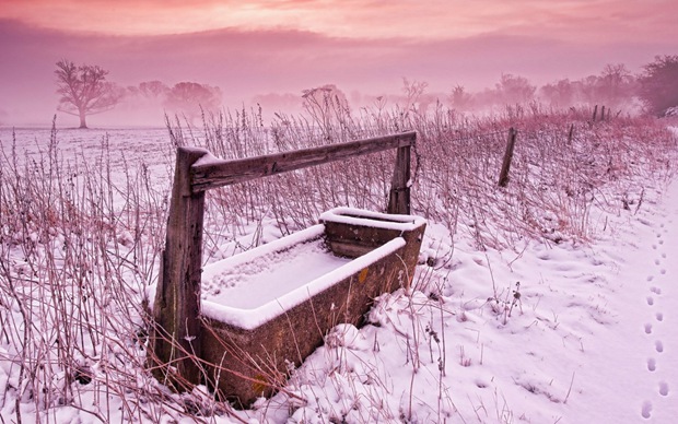 可爱美图网冬天雪花风景图片