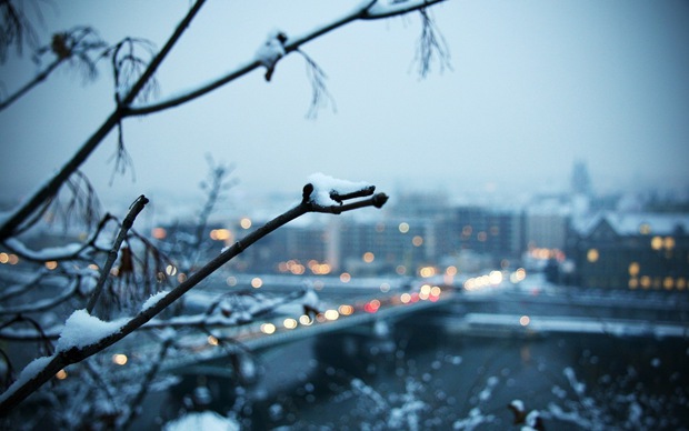 可爱美图网冬天雪花风景图片