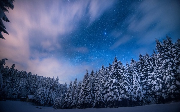 宁静安祥的冬天雪夜图片