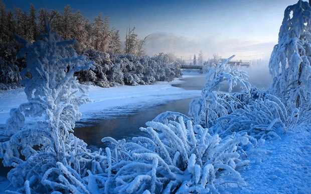美丽的冬日黎明雪景图片 www.bugela.com
