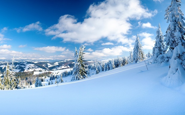 美丽的冬日黎明雪景图片