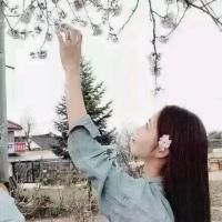 文艺小清新头像大全