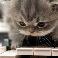 可爱萌系女生猫咪头像图片