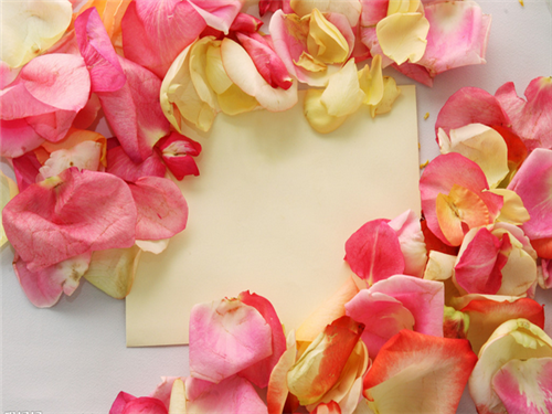 唯美可爱花朵花瓣图片