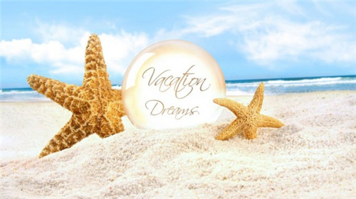 沙滩大海贝壳风景图片大全