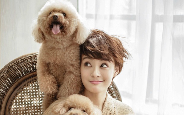 女神孙俪短发美女可爱造型大全