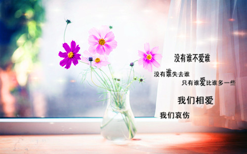 杯子一辈子唯美伤感带字图片