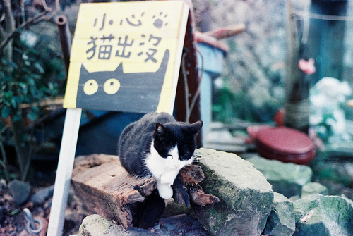 日系文艺小清新图片可爱大全