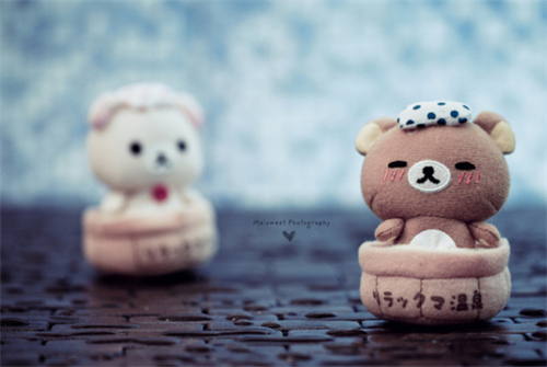 可爱唯美治愈小清新静物图片