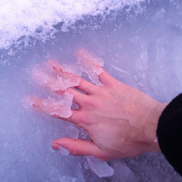 关于手的唯美意境图片大全