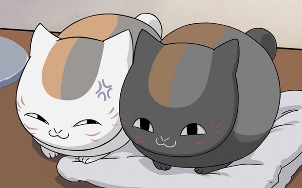 夏目友人帐萌萌的猫咪老师