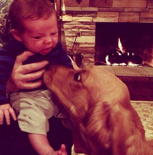 宝宝和狗狗的可爱搞笑萌照 