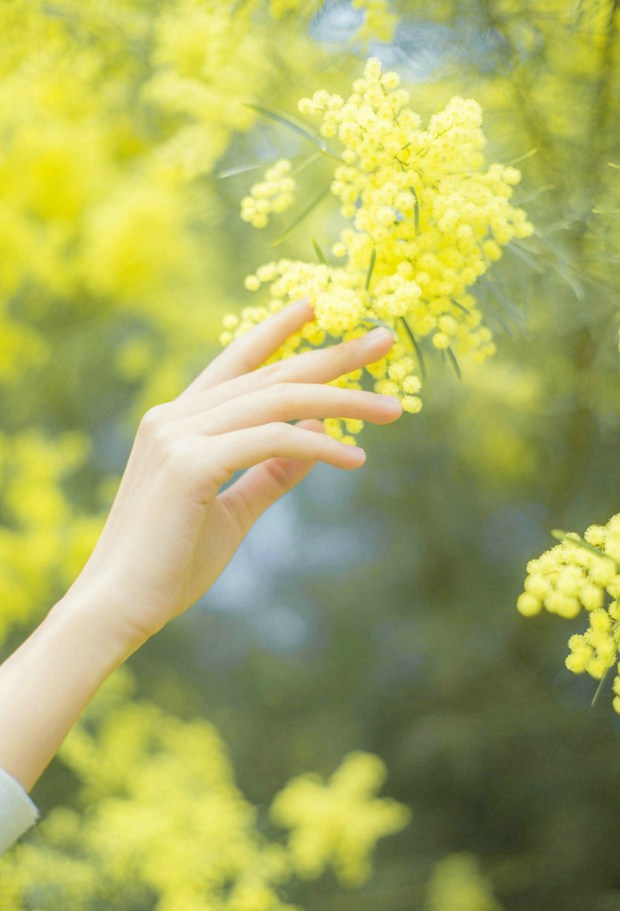 春暖花开黄花清新可爱女生