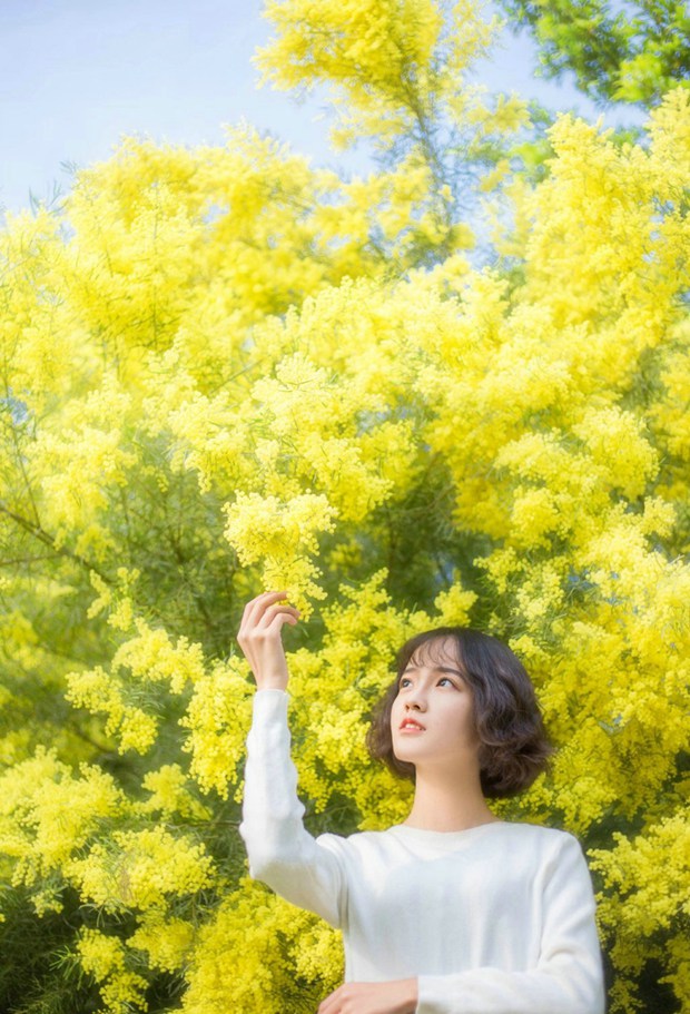 春暖花开黄花清新可爱女生
