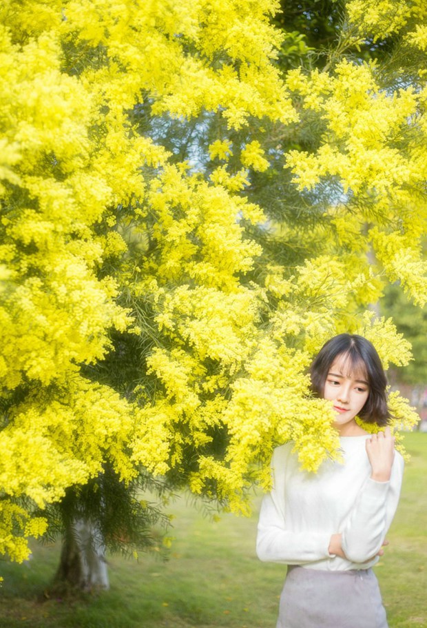 春暖花开黄花清新可爱女生