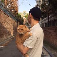 帅哥和猫咪的男生头像