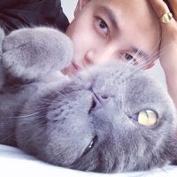帅哥和猫咪的男生头像
