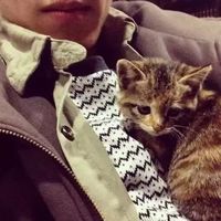 帅哥和猫咪的男生头像