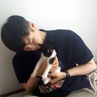 帅哥和猫咪的男生头像