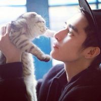 帅哥和猫咪的男生头像