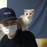 帅哥和猫咪的男生头像
